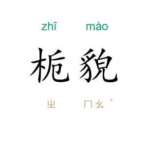 栀貌