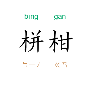 栟柑