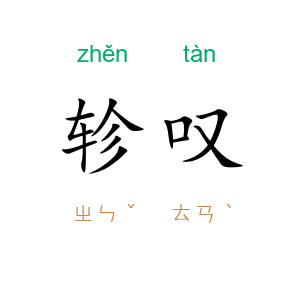 轸叹