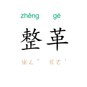 整革