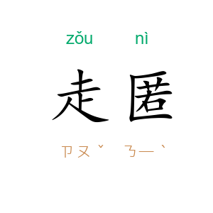 走匿