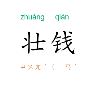 壮钱