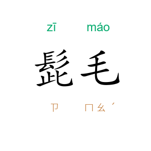 髭毛