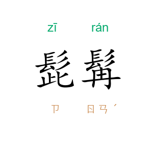 髭髯
