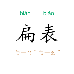 扁表
