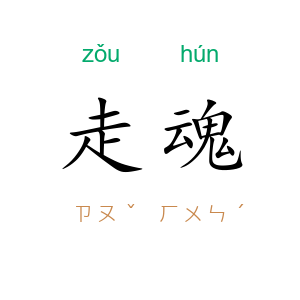 走魂