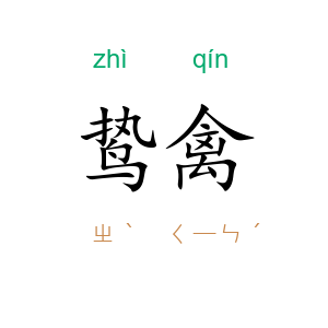 鸷禽