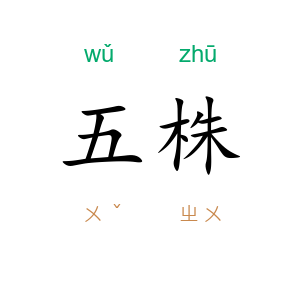 五株