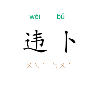 违卜