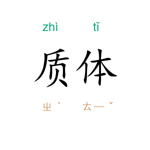质体