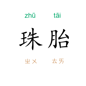 珠胎