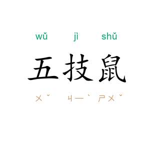 五技鼠