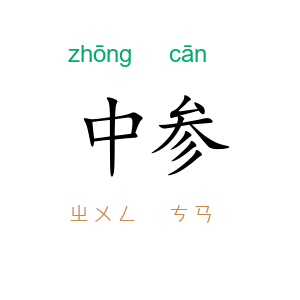 中参
