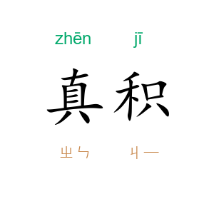 真积