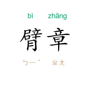 臂章
