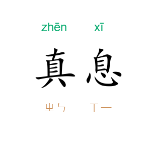 真息