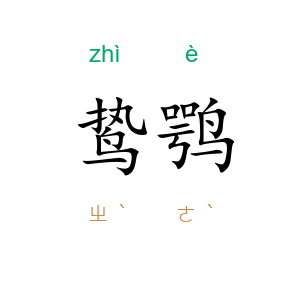 鸷鹗