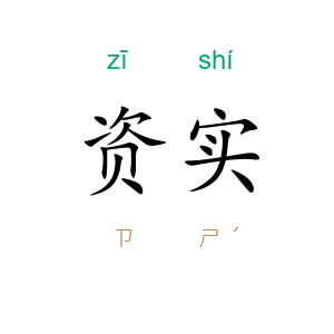 资实
