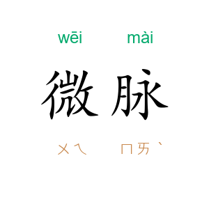 微脉