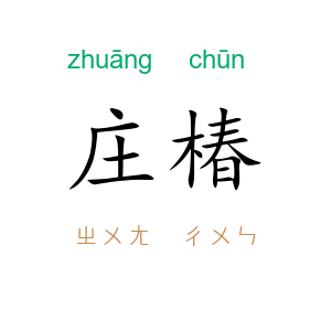 庄椿