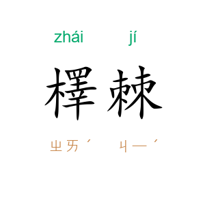 檡棘