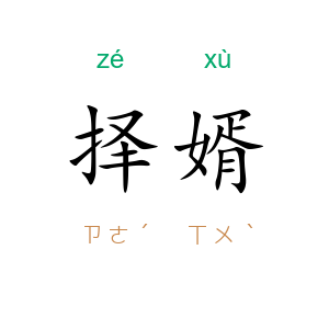 择婿