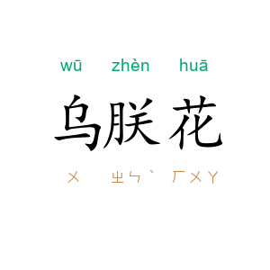 乌朕花