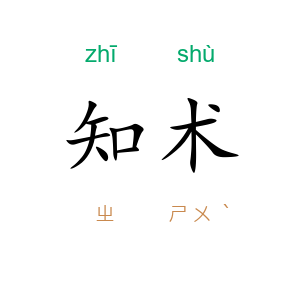 知术
