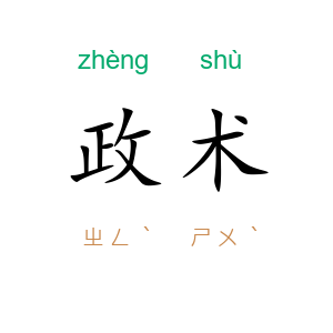 政术