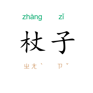 杖子