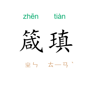 箴瑱