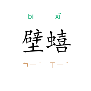 壁蟢