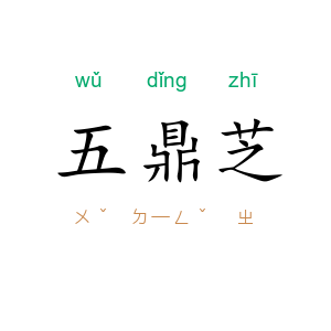 五鼎芝