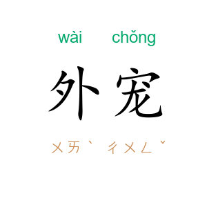 外宠