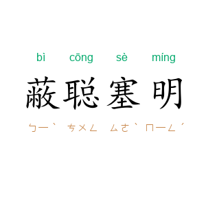 蔽聪塞明