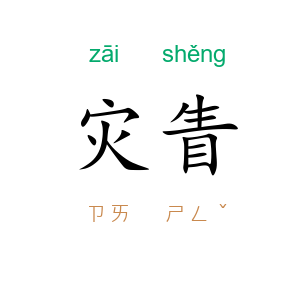灾眚
