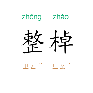 整棹