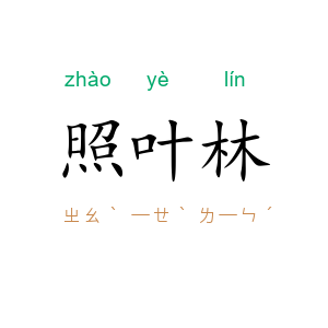 照叶林