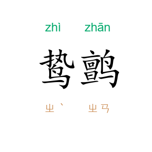 鸷鹯