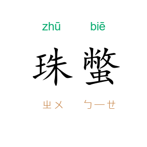 珠蟞