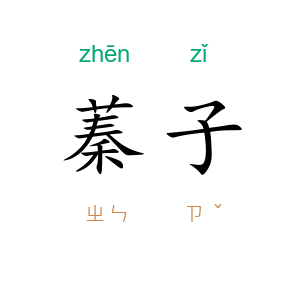 蓁子