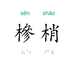 槮梢