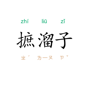 摭溜子