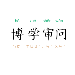 博学审问