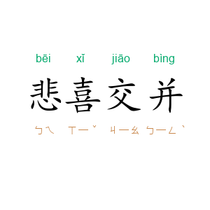 悲喜交并