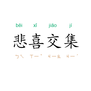 悲喜交集