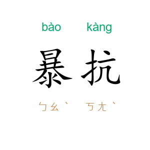 暴抗