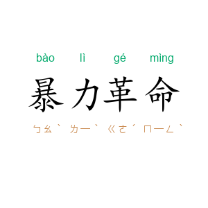 暴力革命