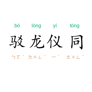 驳龙仪同