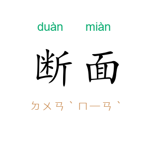 断面